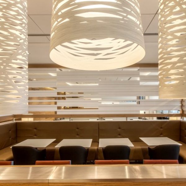 corporate-american (5)