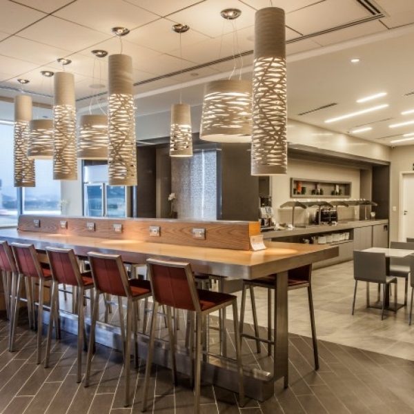 corporate-american (8)