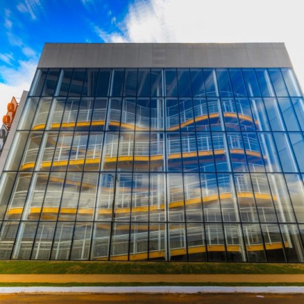 educational-maple (2)